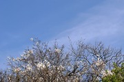 DSCF0597_R