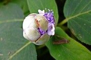 DSCF5016_R