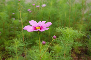 DSC09905_R