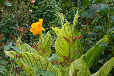 DSC09258_R