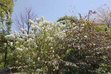 DSC06666_R