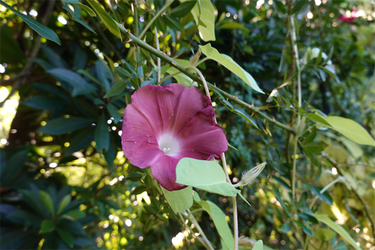 DSC02882_R