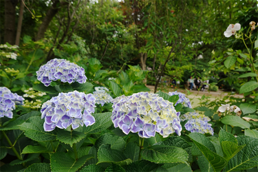 DSC08144_R