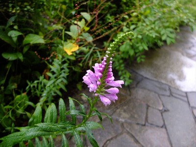 DSCF5358_R