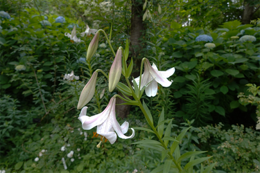 DSC08166_R