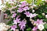 DSCF3316_R