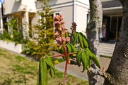 DSCF2491_R