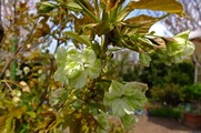 DSCF2432_R
