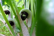 DSCF2231_R