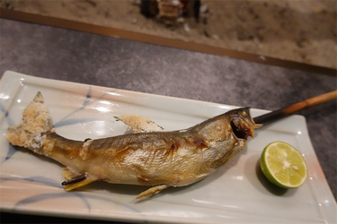 DSC09446_R