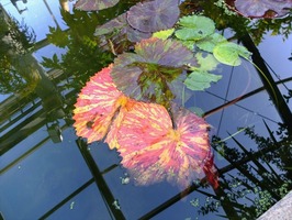 DSCF6527_R