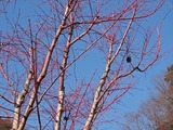 DSCF5643_R