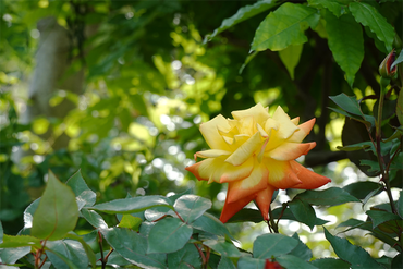 DSC07061_R