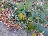DSCF5357_R