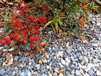 DSCF9593_R