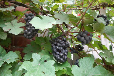 DSC08957_R