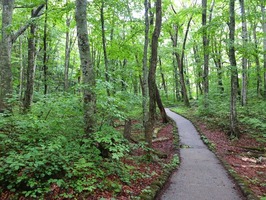 DSCF0829_R