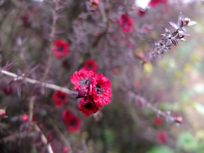 DSCF0819_R