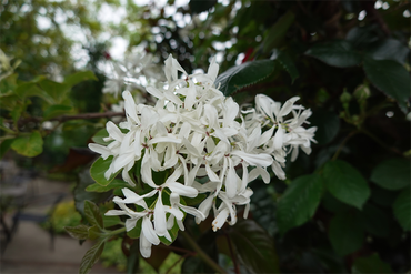 DSC06985_R