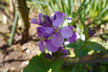 DSC05902_R