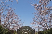 DSCF1914_R