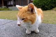 DSCF2256_R