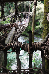DSC09430_R