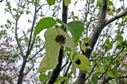 DSCF2568_R