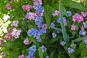 DSCF2466_R