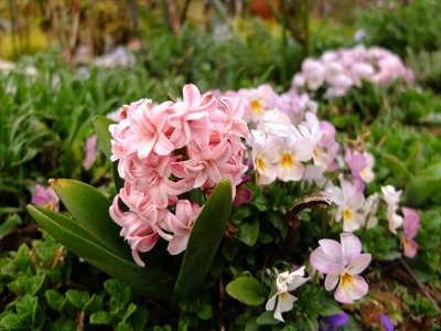 DSCF1506_R