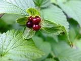 DSCF2666_R