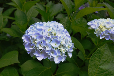 DSC08060_R