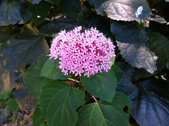 DSCF1373_R