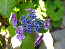 DSCF8833_R