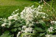 DSCF5312_R