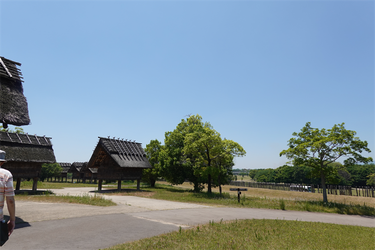 DSC07984_R