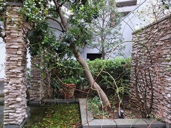 DSCF1665_R