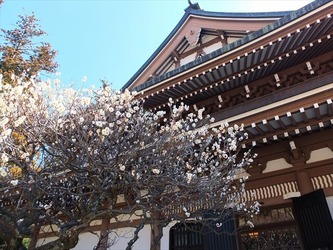 DSCF8338_R