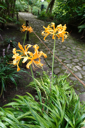 DSC09139_R