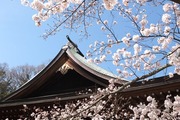 DSCF0590_R