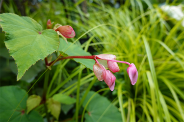 DSC08737_R