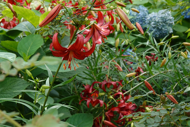 DSC08477_R