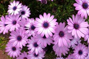 DSCF0072_R
