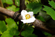 DSCF1248_R