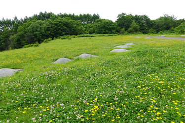 DSC02382_R
