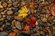 DSCF7394_R