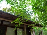 DSCF2599_R