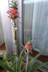 DSC08258_R