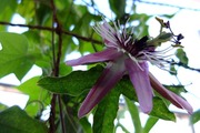 DSCF5881_R