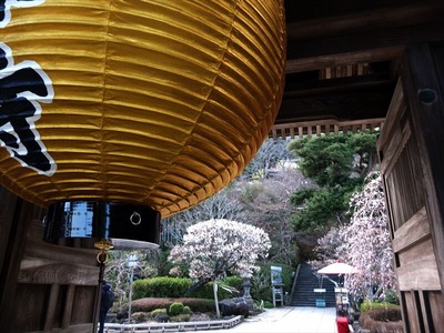 DSCF1181_R